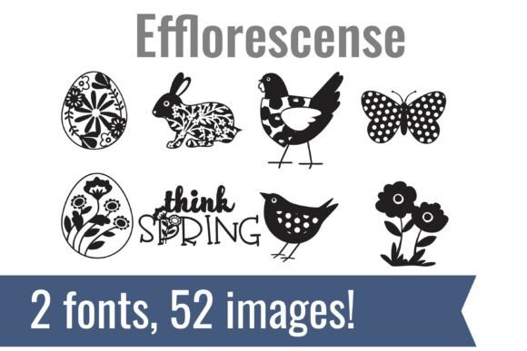 Efflorescense Dingbats: A Creative Font for Engaging Campaigns