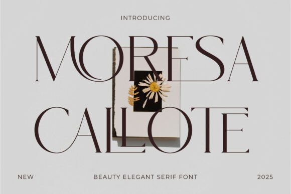Elevate Your Web Design with Moresa Callote Font